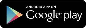 Google Play Store 